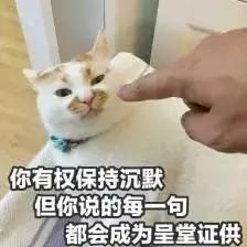 有没有办法让猫咪拉屎不臭,猫咪嘴臭是怎么回事