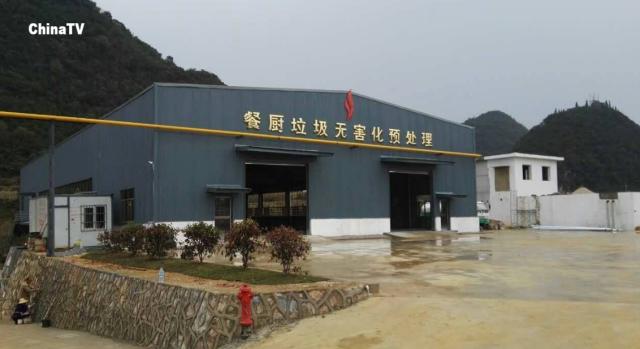 蟑螂大王每天处理50吨垃圾,3亿只蟑螂每天处理近15吨厨余垃圾