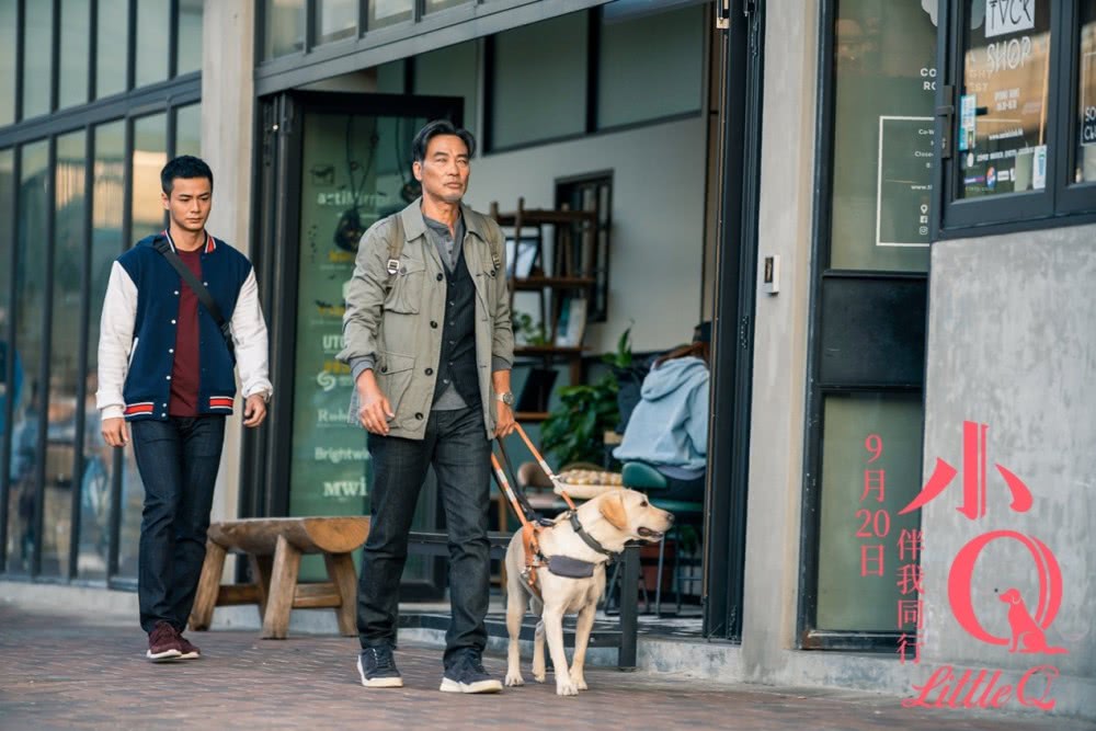 你有被人坚定的选择过吗原视频,你有被人坚定的选择过吗