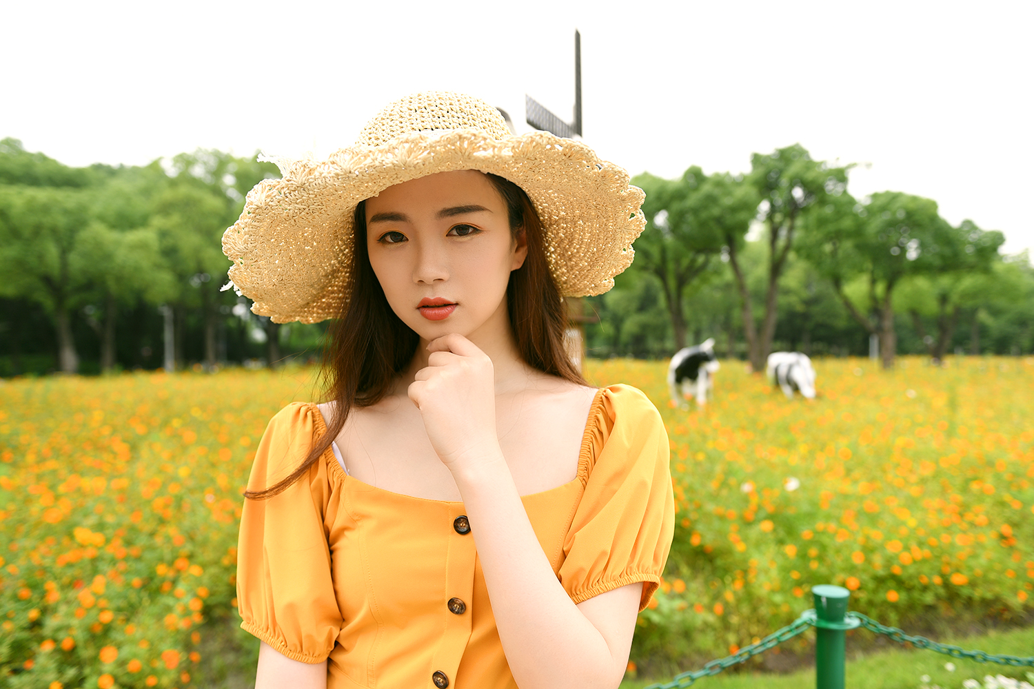 黄橙绿颜色的手账,夏天色彩手账图片