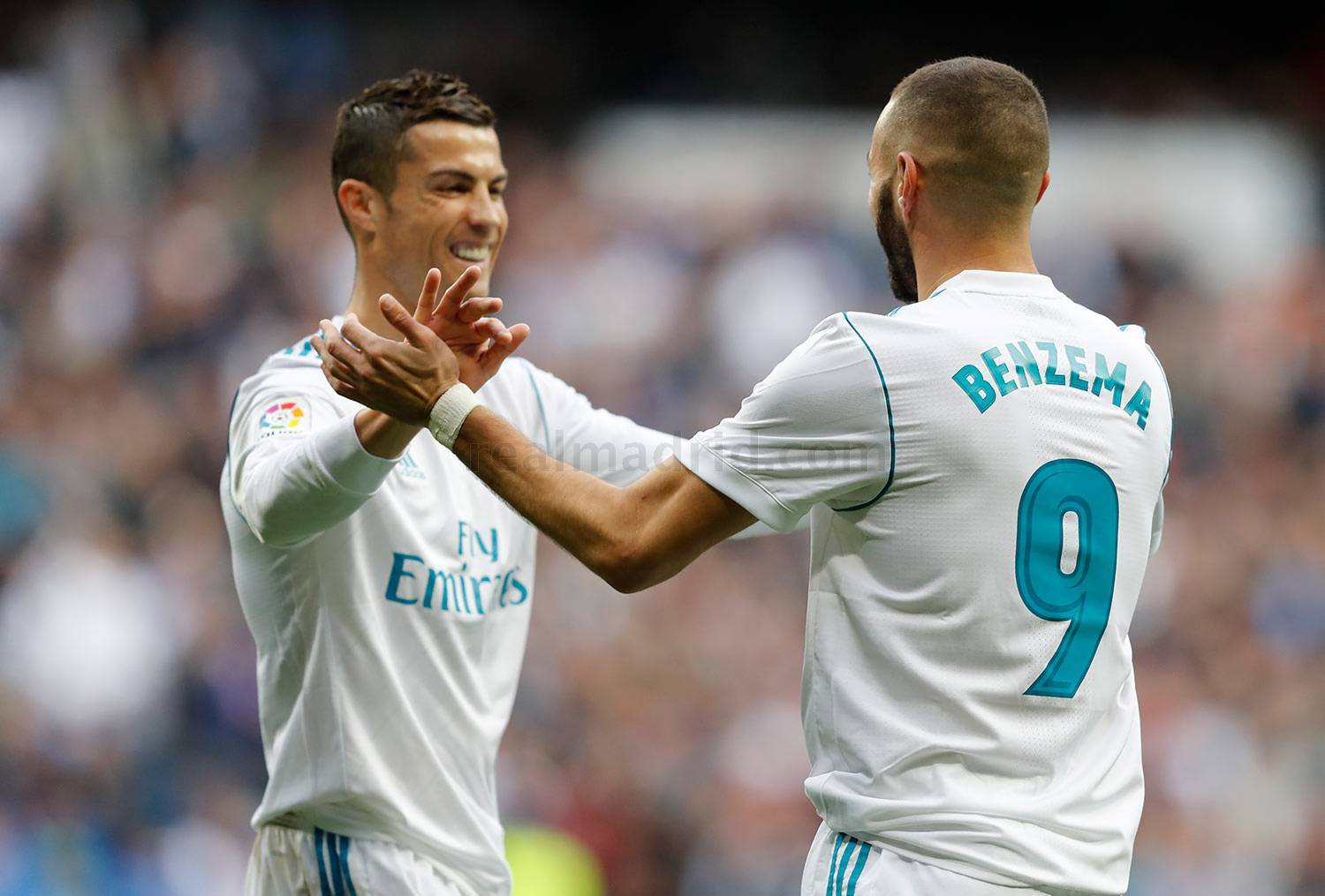 法国四小天鹅完整视频,法国04年四小天鹅