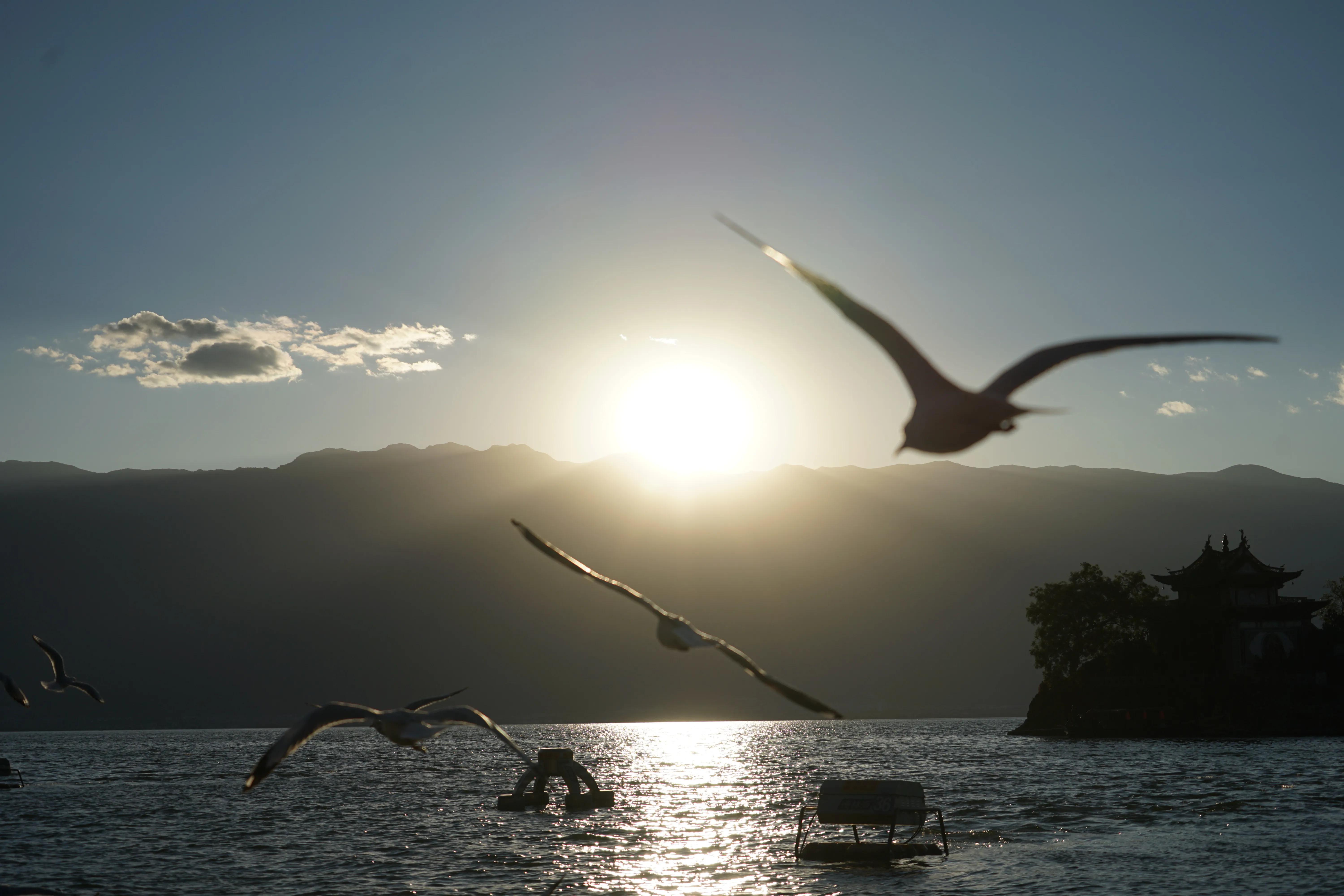拍儿童照被坑,那些年带娃踩过的坑