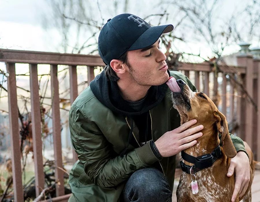 犬咬二氧化碳嗜纤维菌有什么特征,狗狗咬二氧化碳嗜纤维菌