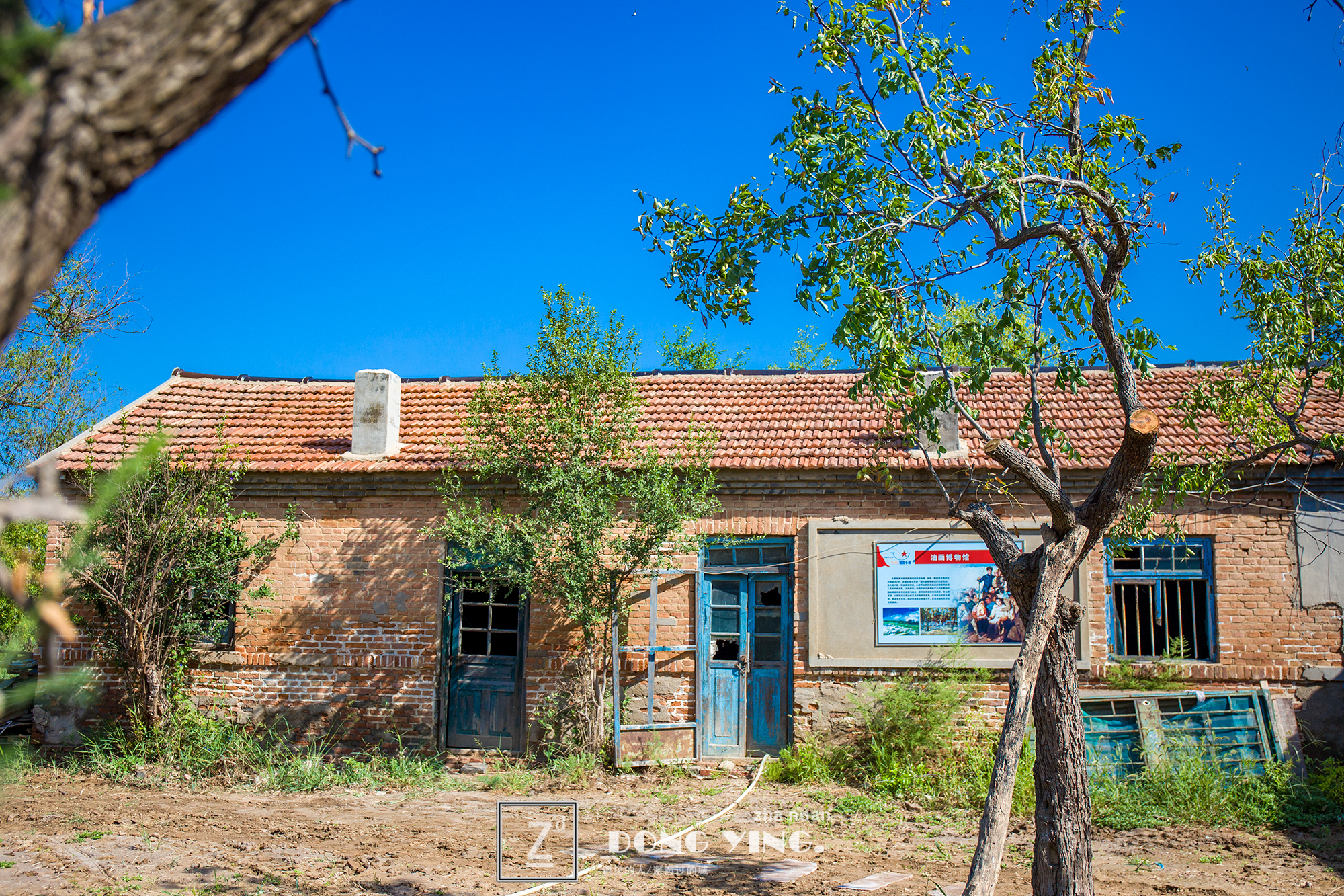 山东黄河入海城市,山东黄河去哪里看最壮观