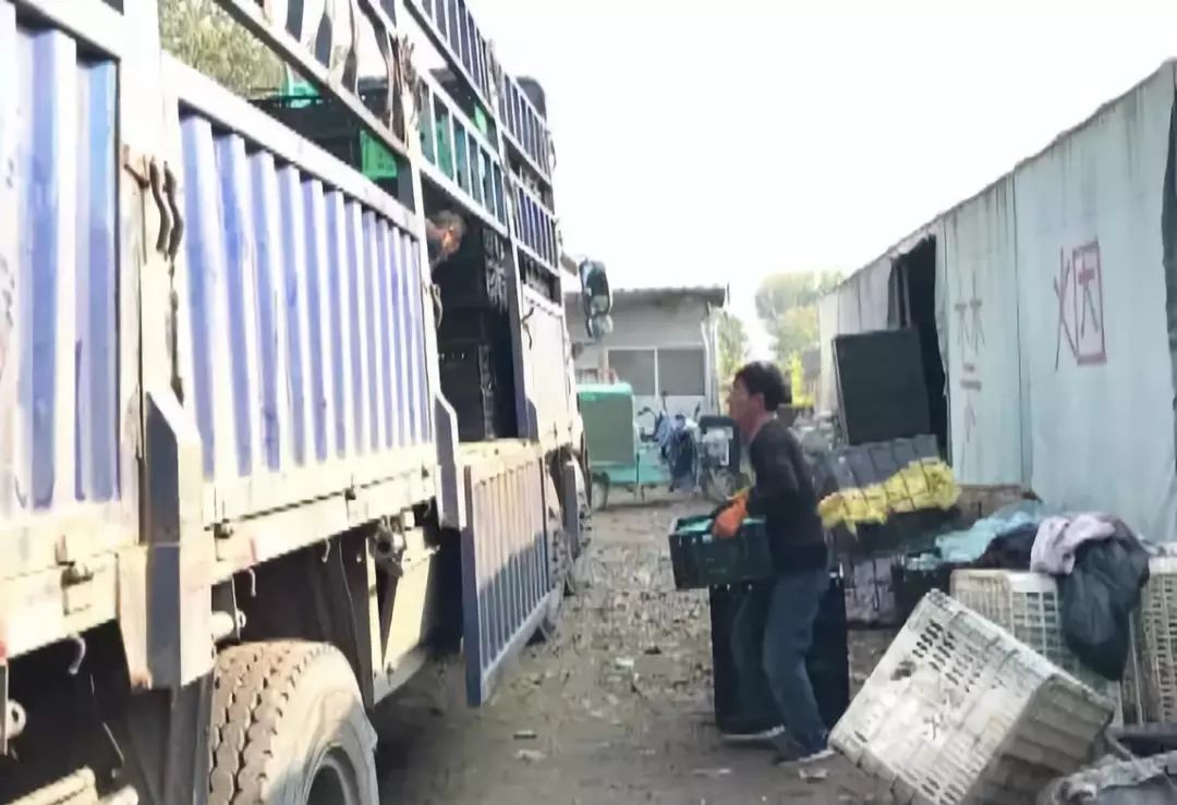 谁认识李翠花和王文忠！这俩寿光人做了这种事情之后竟然……