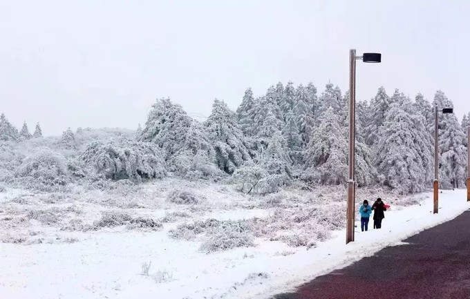 重庆风景优美的旅游地免费,重庆风景好的地方三天自驾游