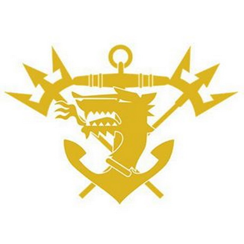 特种作战力量排行,世界战斗力最强的十大特种部队