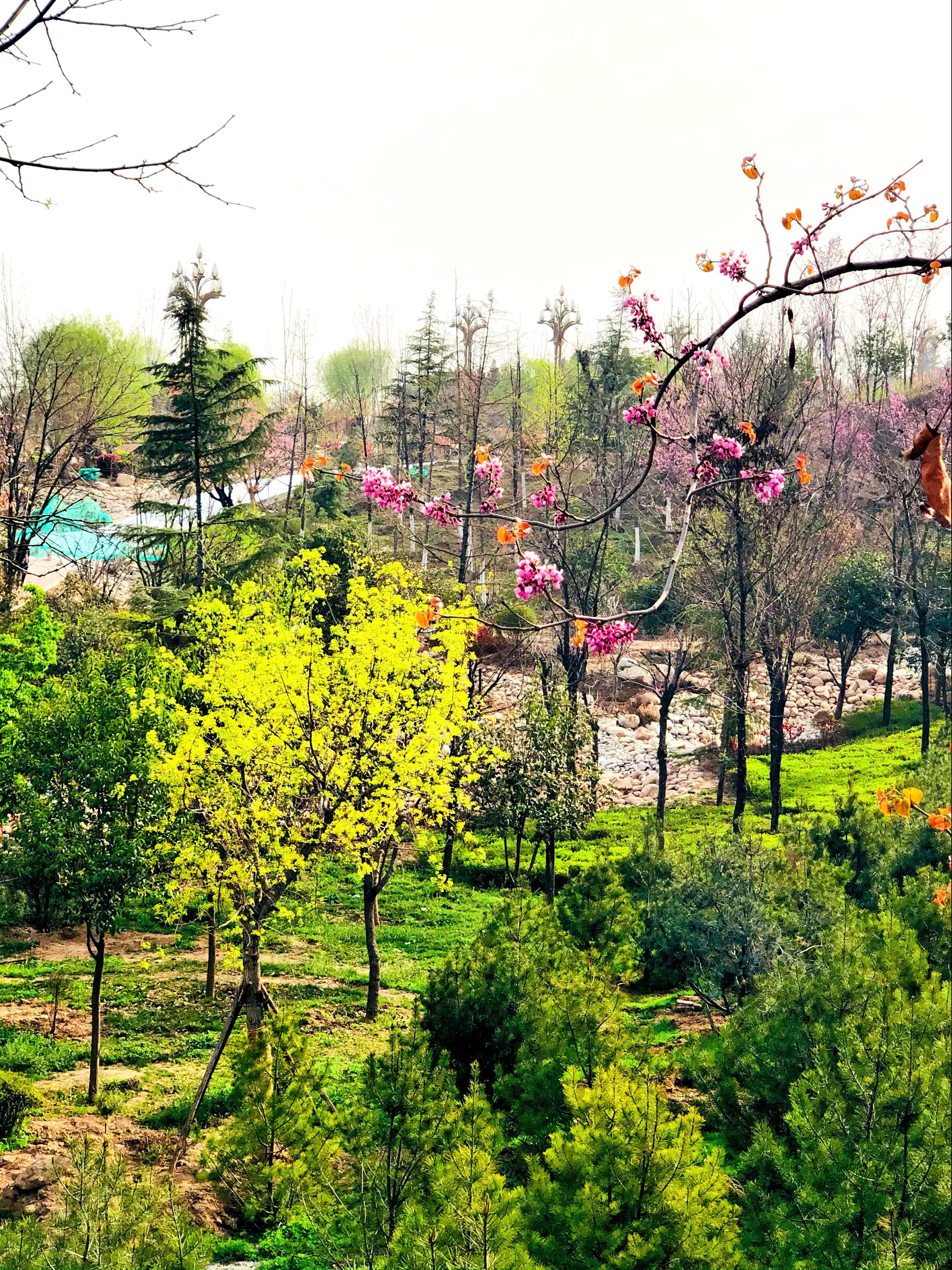金塘半日游,白鹿原一日游攻略