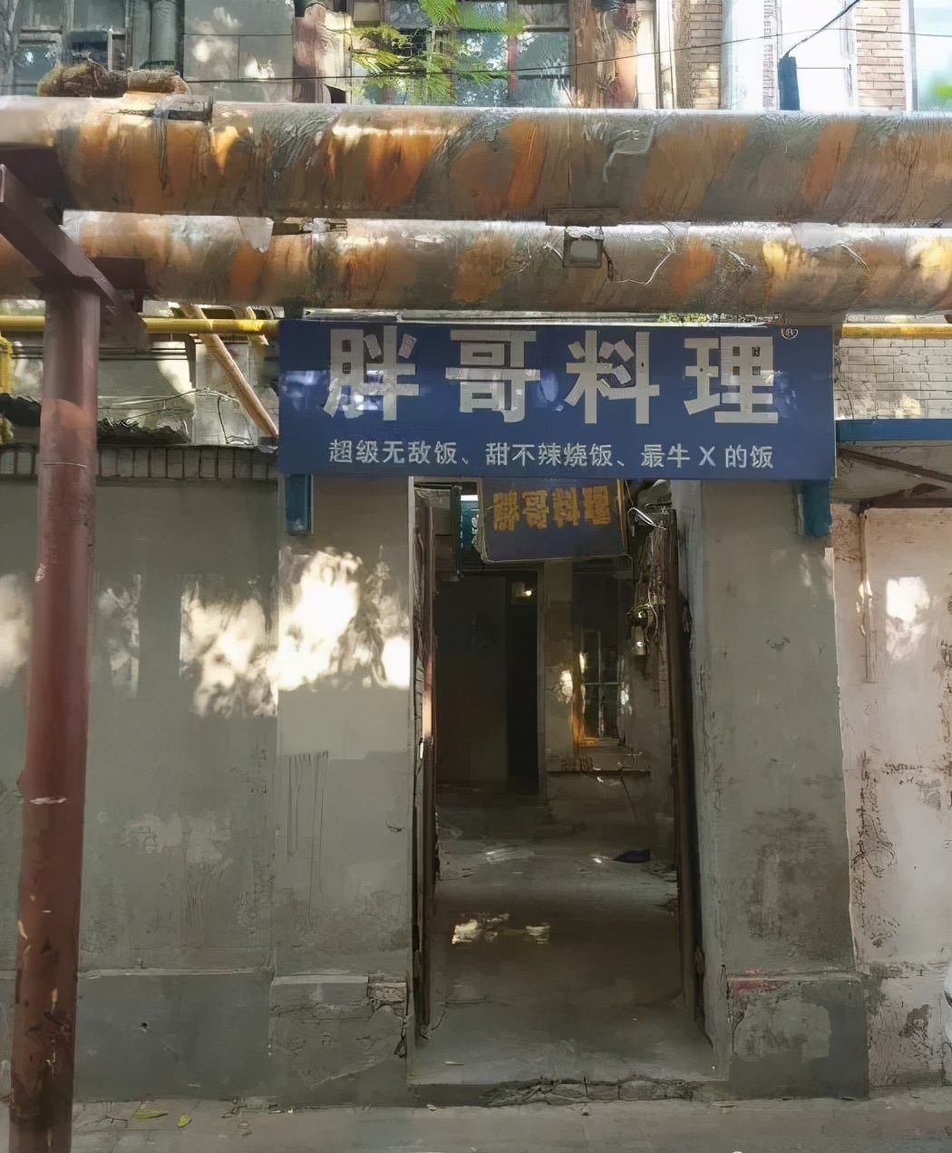 天津河西区值得吃的狗食馆,天津火了30年的狗食馆