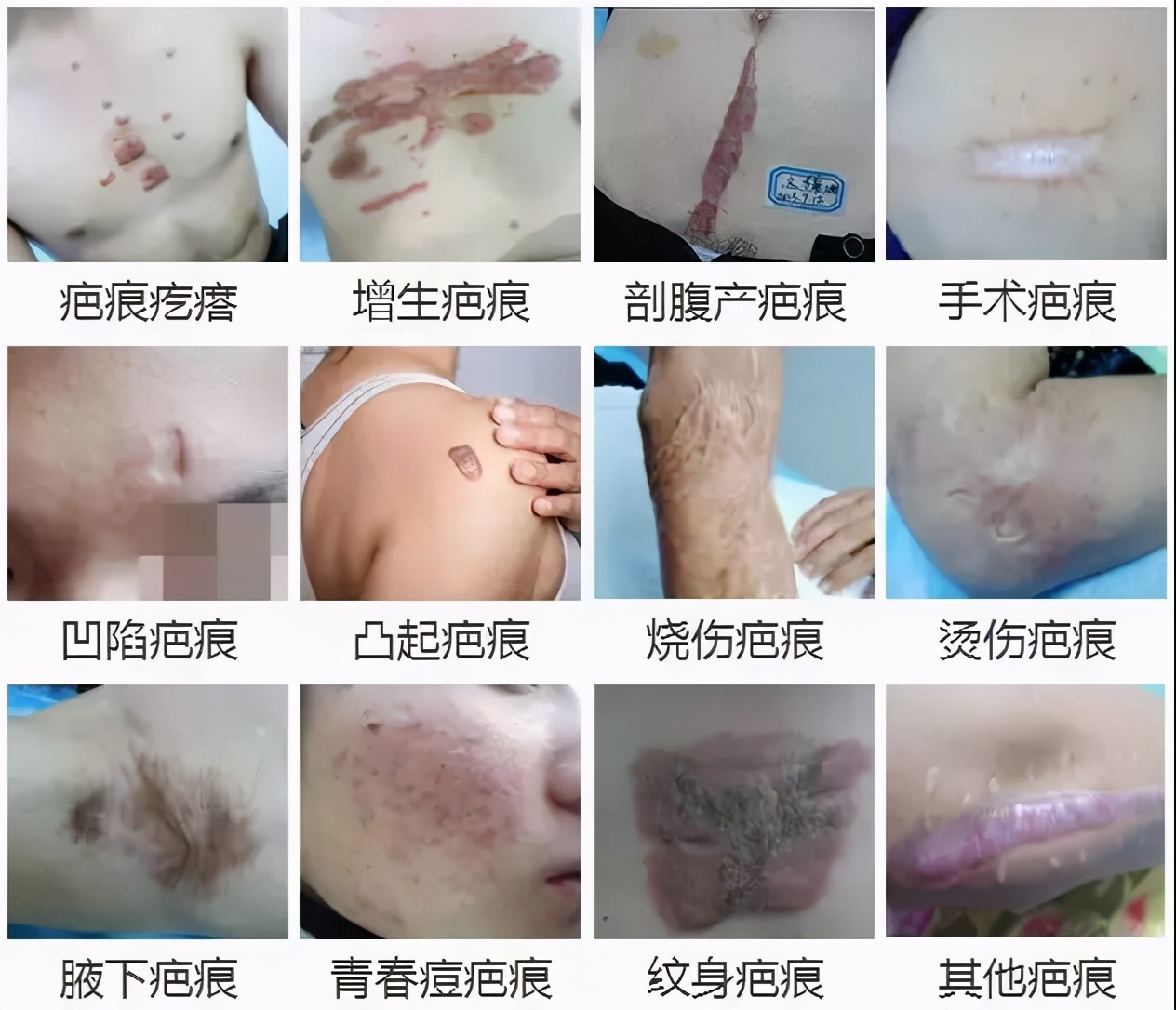 科学家发现的神秘恐怖生物,科学家发现的恐怖生物