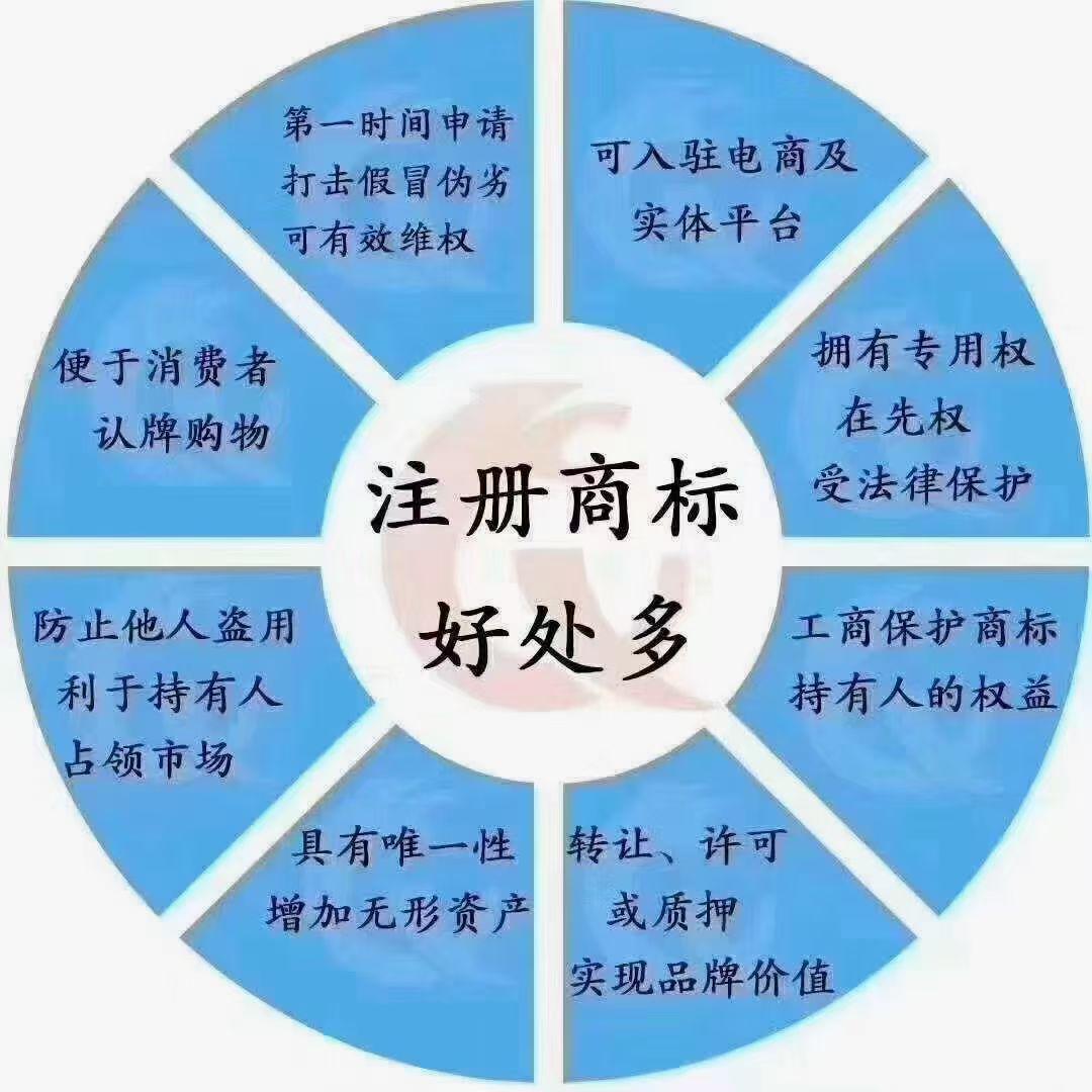 知识产权的真正意义是什么,知识产权的重要性简短