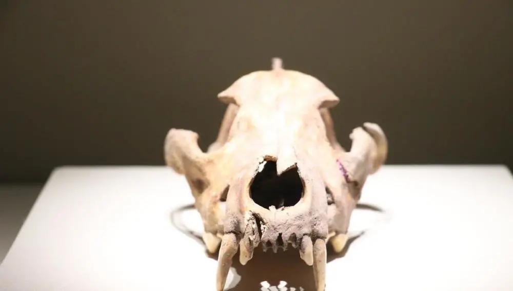 身高给男生带来的挫败感,男性身高话题