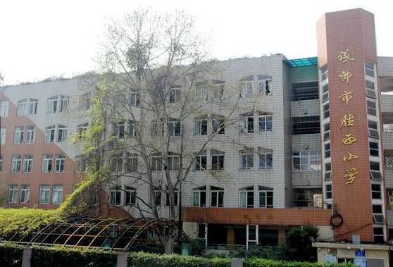 成都高新区哪个片区对口学校好,成都锦二区小升初对口学校分析