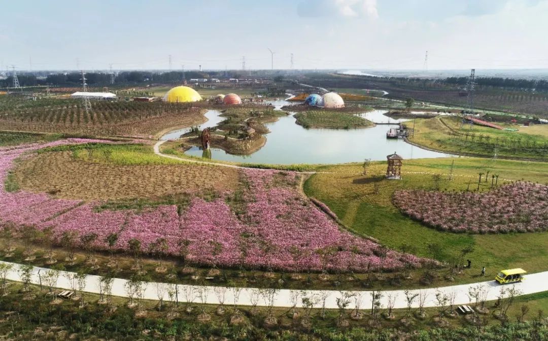 森氧之地，秋游必选！金湖万亩水上森林，真的别有趣味