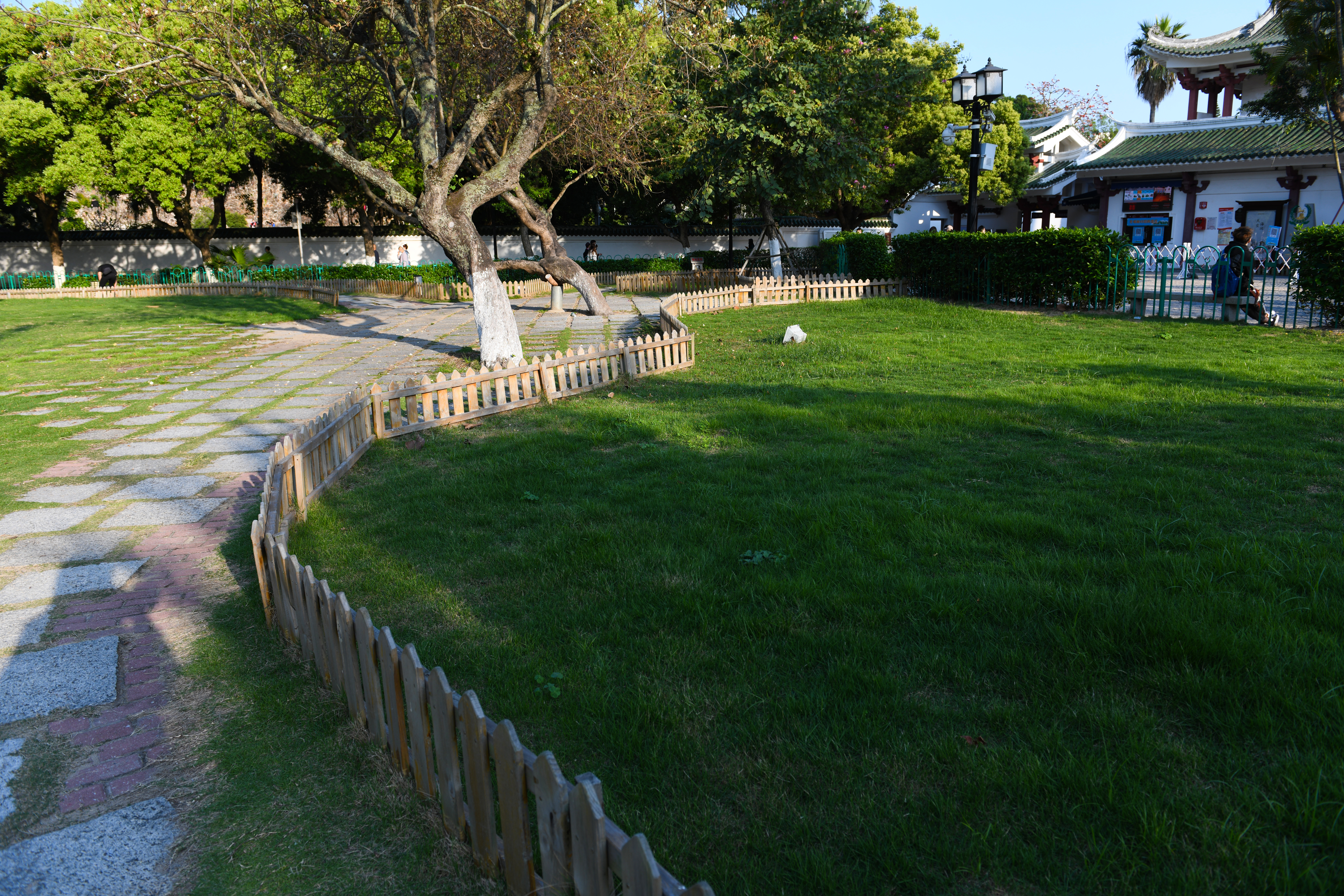 厦门鼓浪屿免费,厦门景点半价政策最新规定