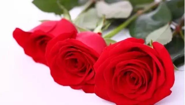 每天学习一点点女性小常识,每天学习一点点科普一下