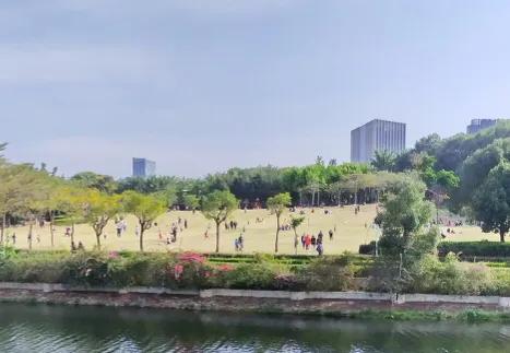 深圳免费公园哪里最好啊,深圳十大免费公园景点大全