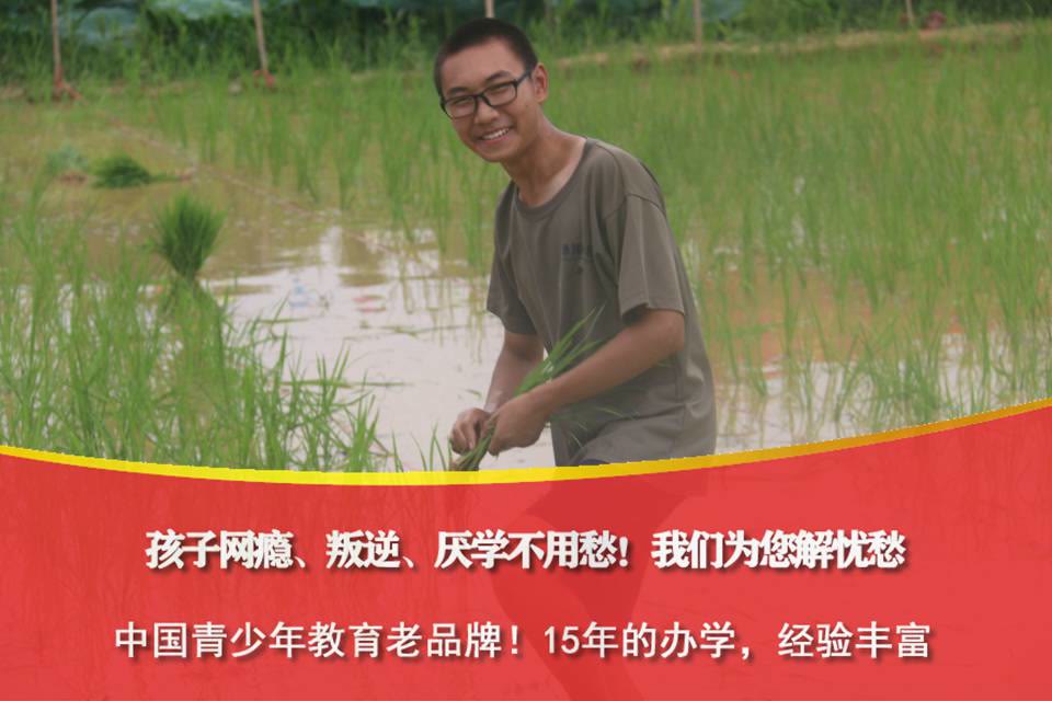 上海青少年戒网络成瘾机构,戒网瘾机构合法吗