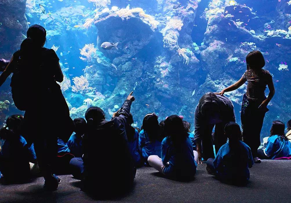 南京动物海洋馆,海洋动物主题公园