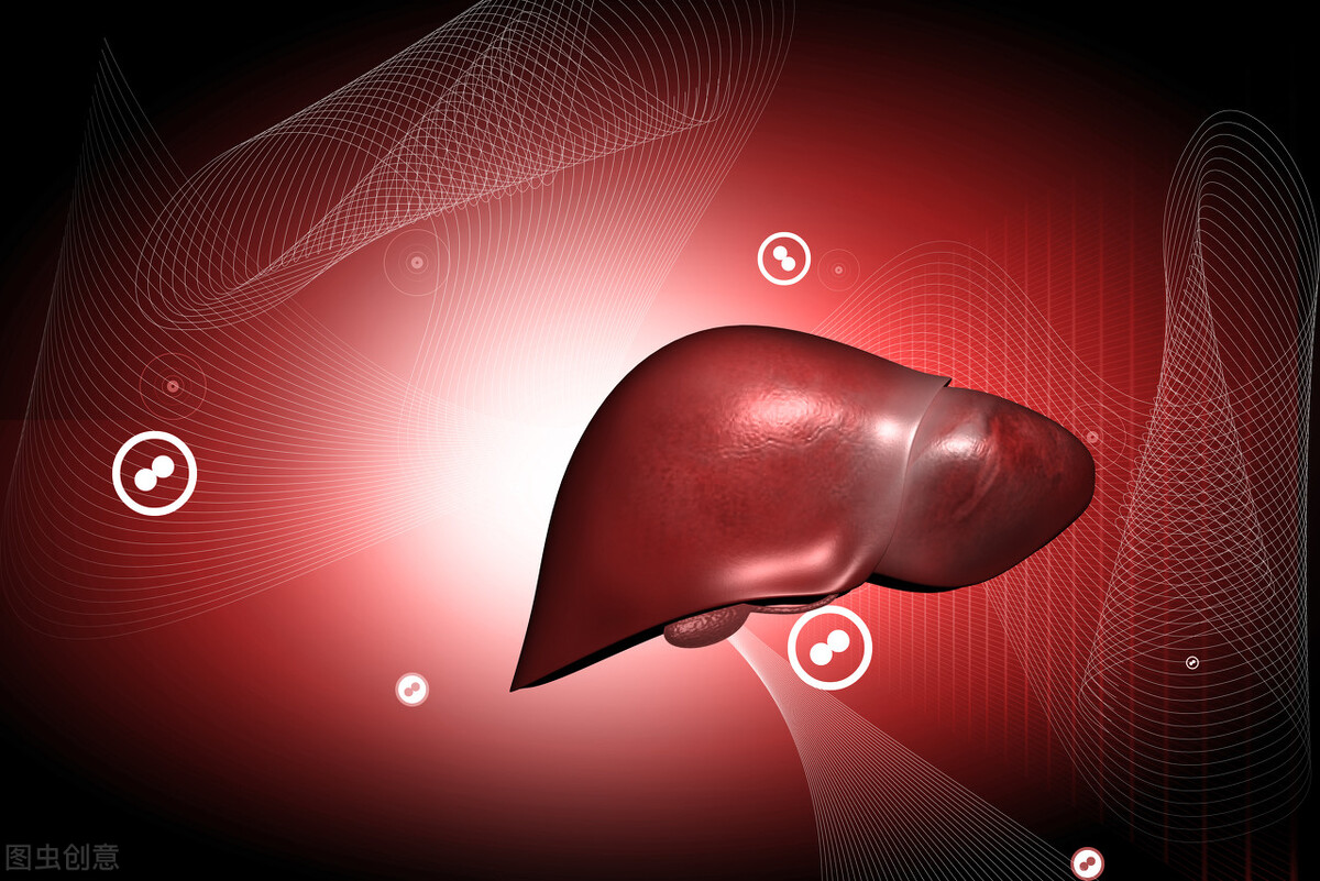 肝不好只吃护肝片行不,肝不好应该少吃高蛋白食物吗