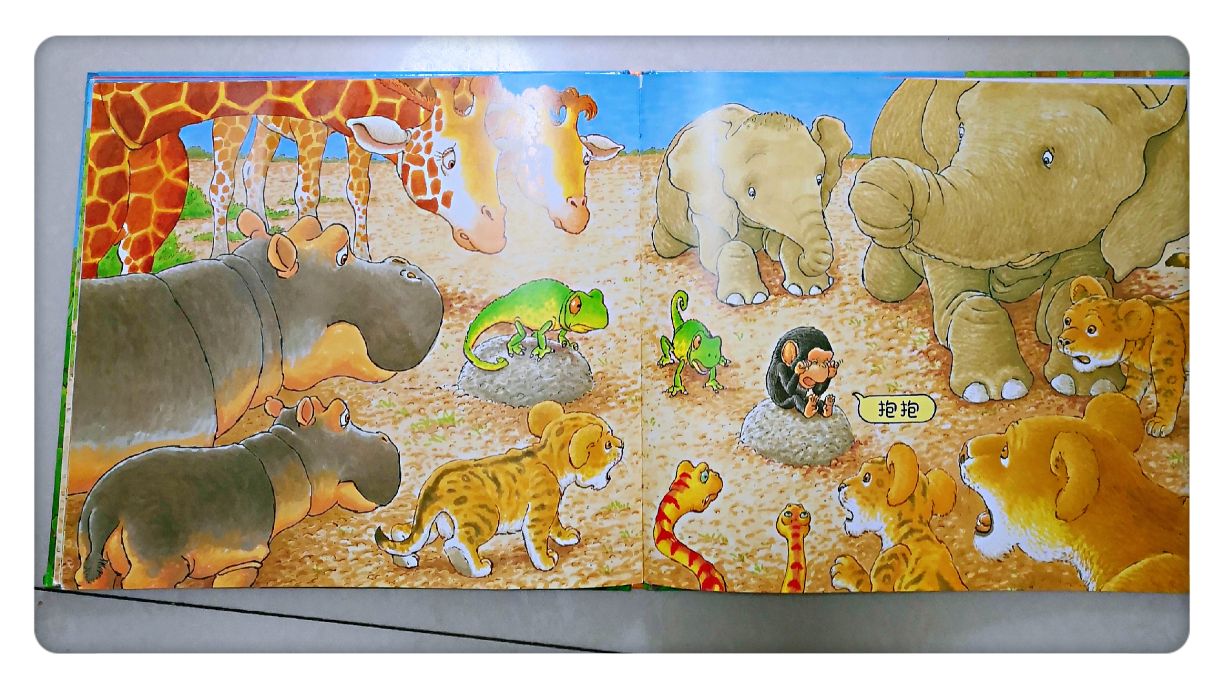 缁樻湰鏁呬簨鎶辨姳濡備綍绮捐,鎶辨姳缁樻湰鍏ㄩ儴鍥剧墖