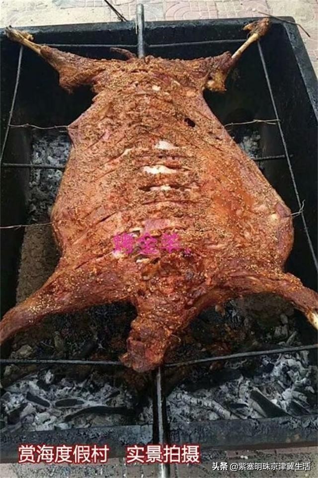 东戴河旅行真正的海景度假村,辽宁海边度假村自由行攻略