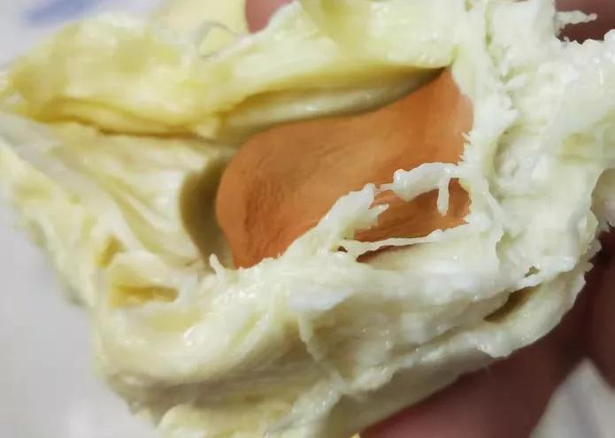 世界臭的美食有哪些,世界怪味食物