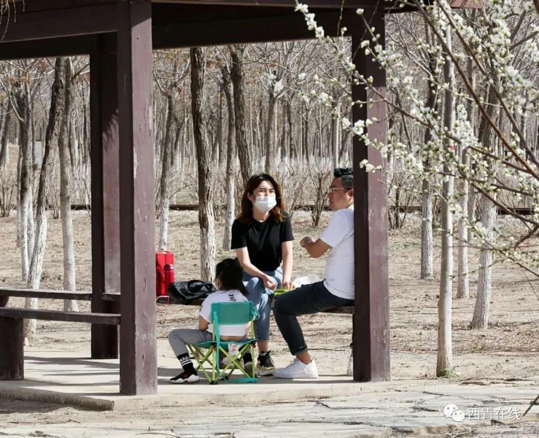 天津2022年四月开放的公园,天津北辰郊野公园现在开放吗