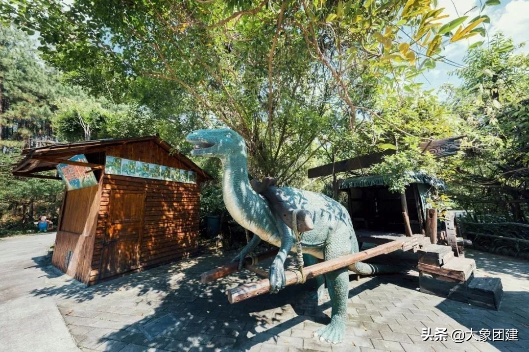 森波拉度假森林酒店,原始森林里的酒店