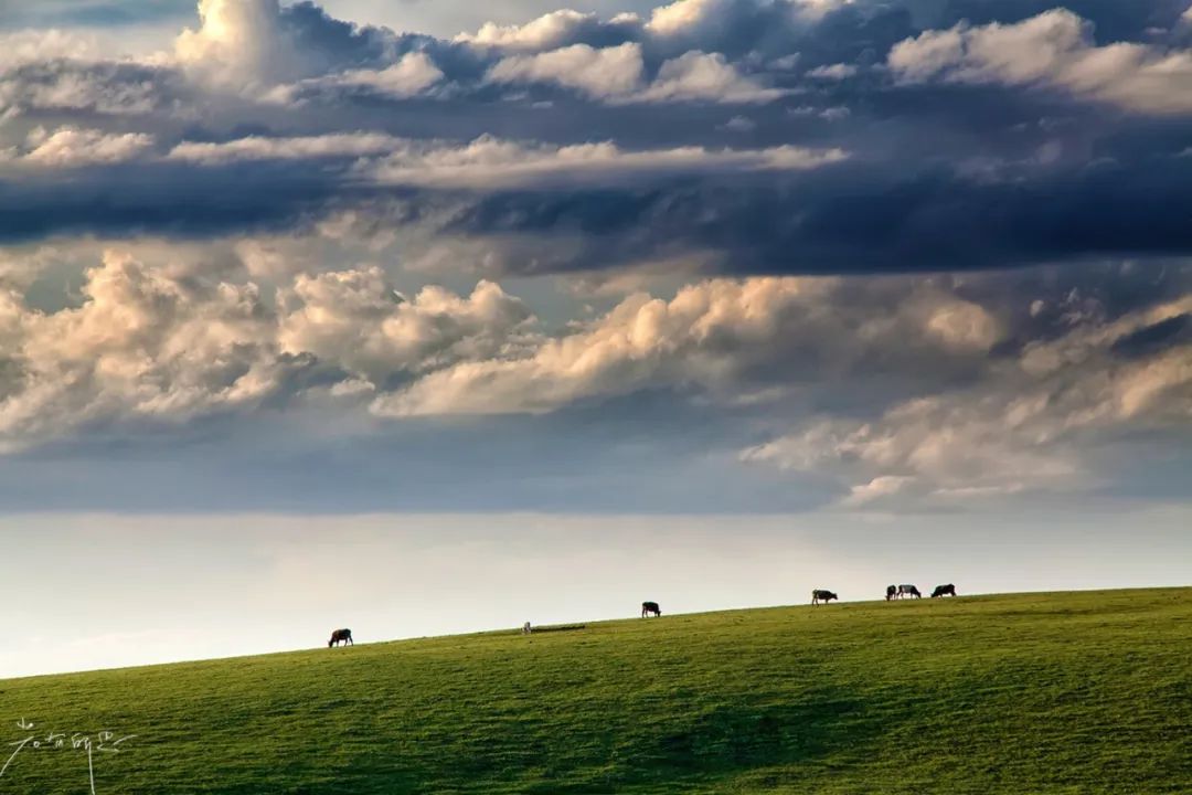 那拉提草原旅游徒步攻略,如何游玩那拉提