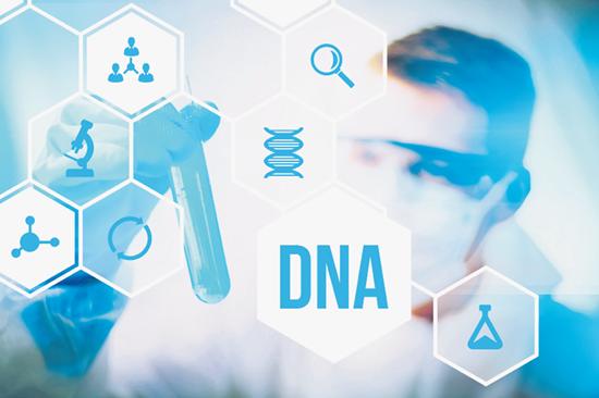 长得越好看越聪明,长得越帅越聪明吗