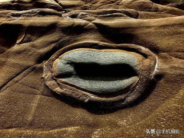 ippa摄影大赛年度总冠军,ippa摄影大赛2014