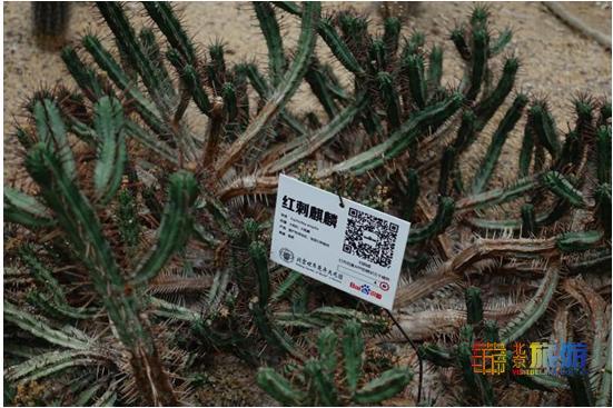 夏天就要去没有太阳的城市避暑,夏天就是要出去玩