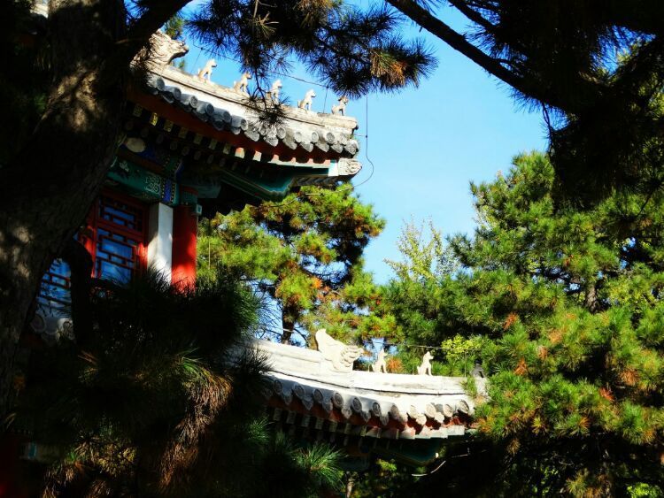 漫步北大校园,北大印象图片