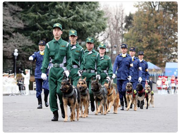 日本是最安全的吗,日本国家安保