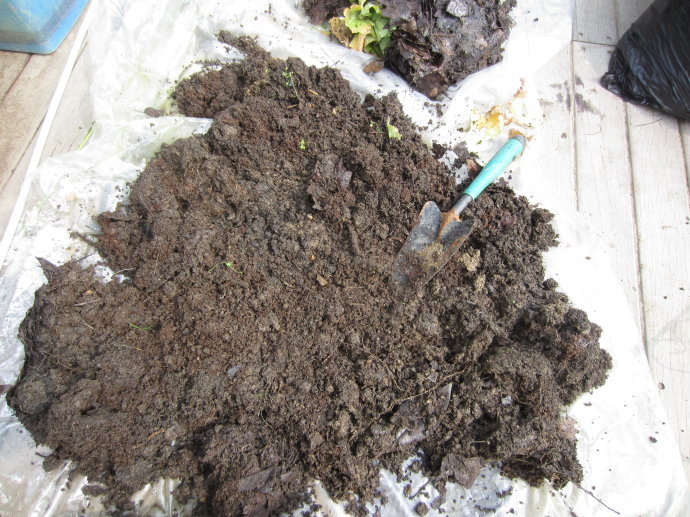 养花怕生虫?4个方法除“隐患”,土壤没虫卵病菌,养啥旺啥