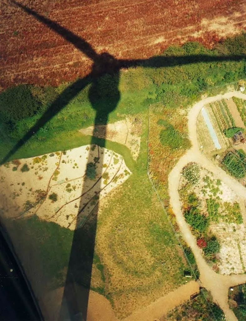 这么有钱还这么“抠”！素食43年的他究竟经历了什么？