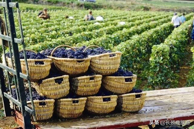 法国自由行攻略,法国攻略