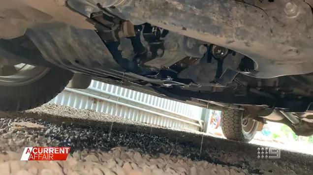 澳大利亚鼠灾事件视频,澳大利亚鼠灾真实事件