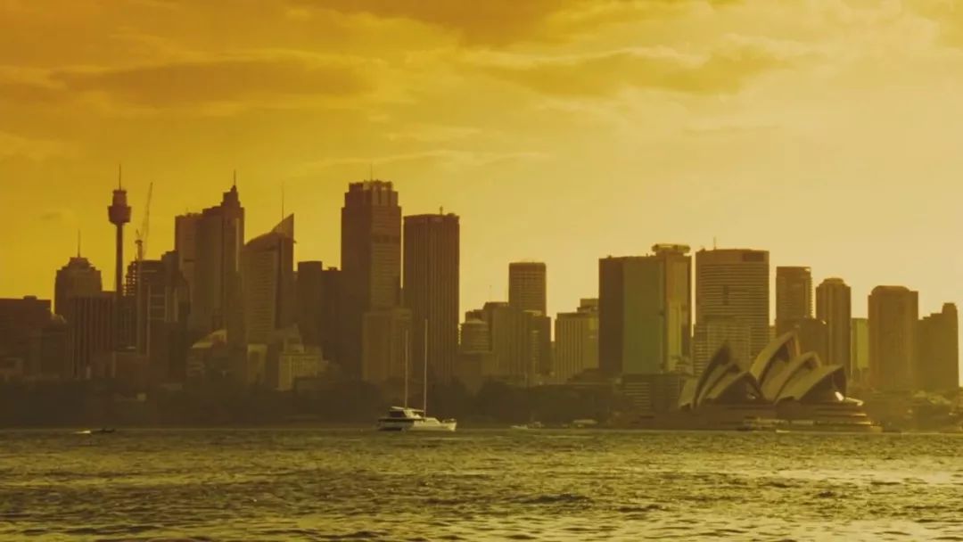 托尼贾对金星的评价,托尼贾金星的电影叫什么