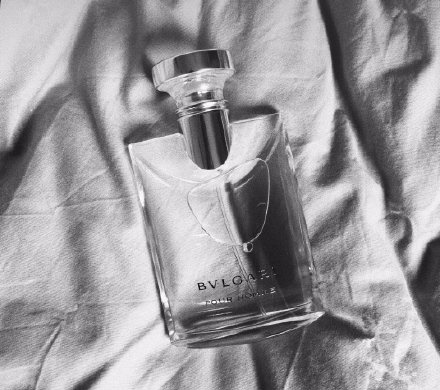 各大博主强烈推荐的好物,时尚博主推荐好物