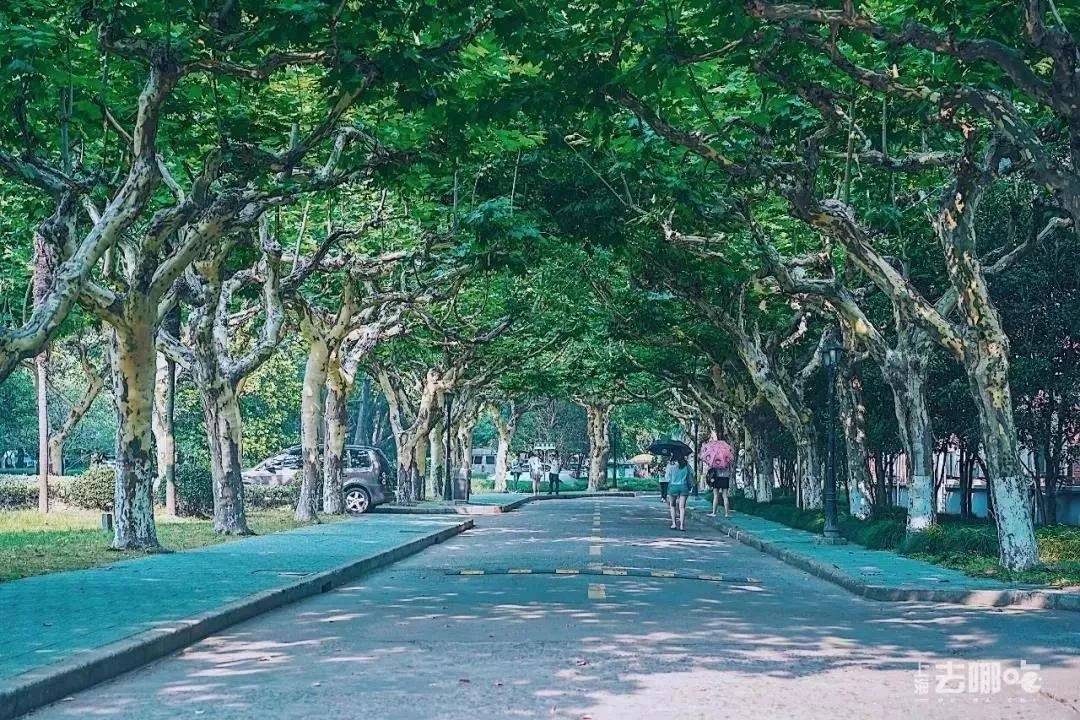 生日当天上海免费景点,上海网红打卡地点景点免费