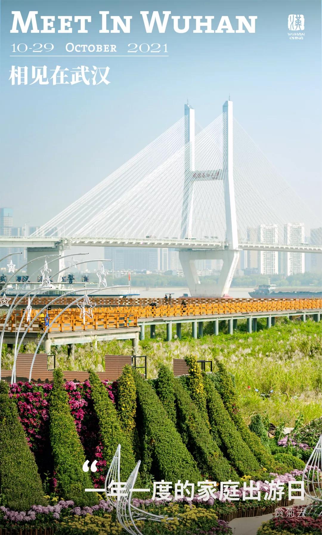 鏉ユ睙婊╄祻鑿婅姳,鑿婅姳鐑傛极