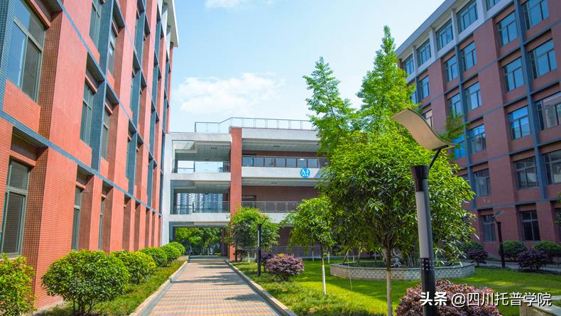 四川省托普信息职业技术学院单招,四川省托普学院单招考试大纲