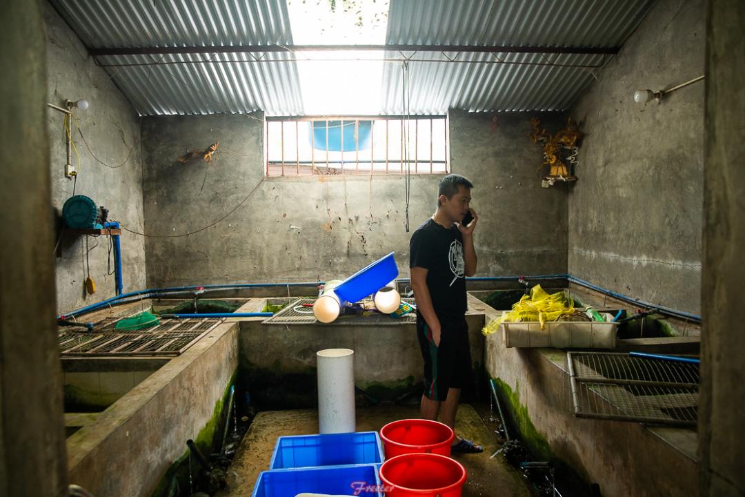 龙塘有哪些好吃的,清远龙塘海鲜大排档