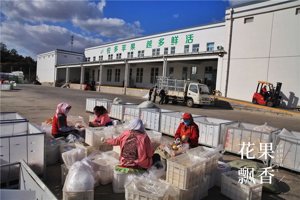 一箱水果能赚多少钱,一箱水果利润多少