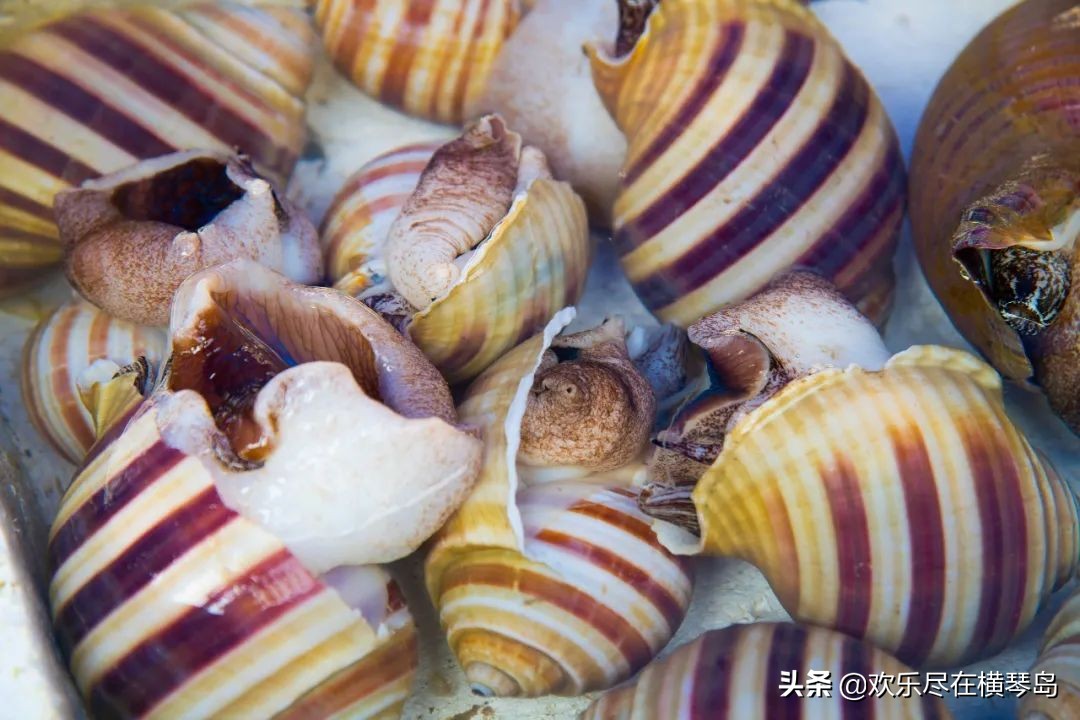 外伶仃岛旅游攻略能否开车,外伶仃岛旅游攻略日出