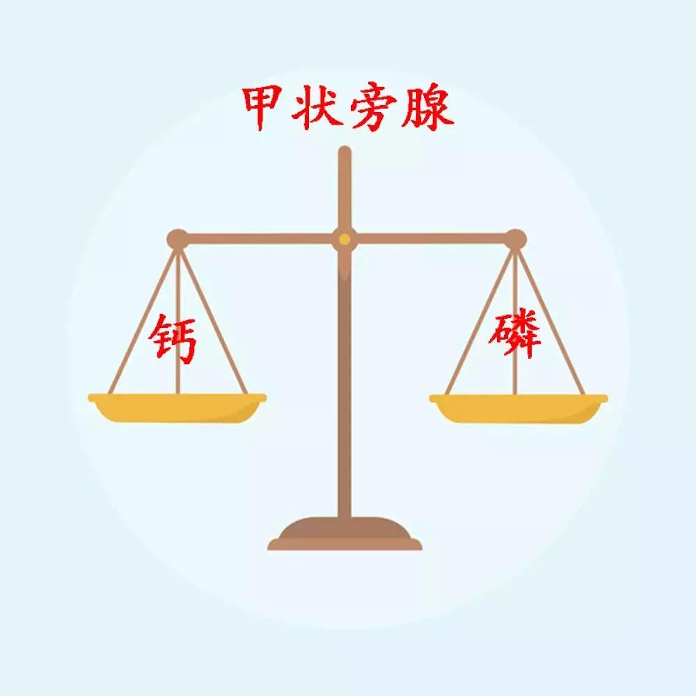 透析病人肌酐急速上升为什么,透析三次肌酐从1100降到500多
