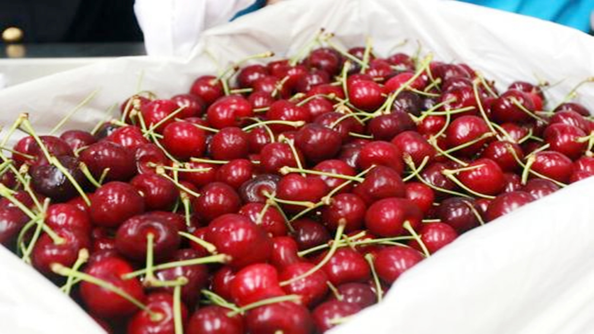 小孩吃了颗葡萄被超市员工骂半天,小孩偷吃草莓家长竟训老板