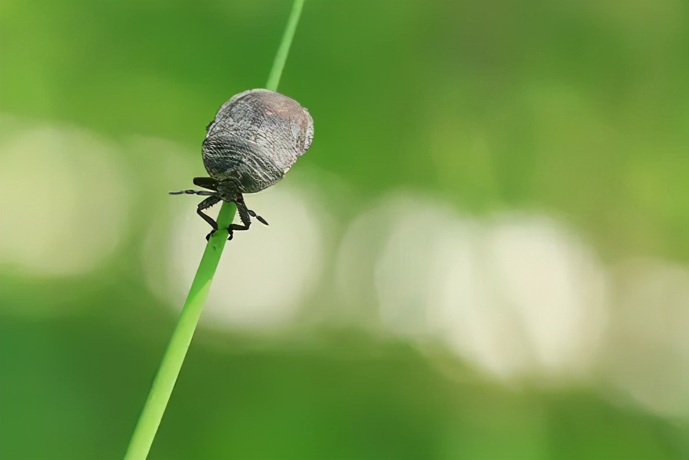城府深不可测的人往往爱说三种话,有城府的人一般说话较谨慎